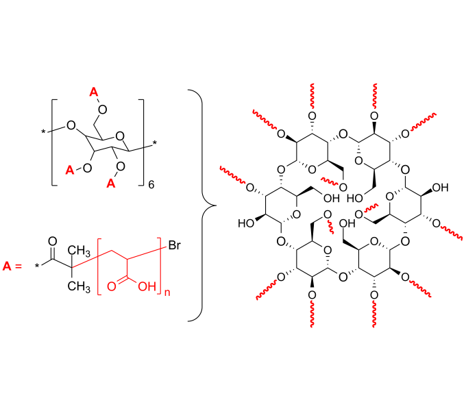 Poly(acrylic acid), 13arm star polymer / Core αCyclodextrin
